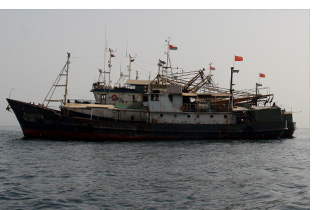 Im Oman gehen chinesische Fangflotten auf Raubzug nach Haiflossen.