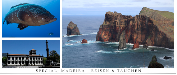 Madeira: Reisen & Tauchen