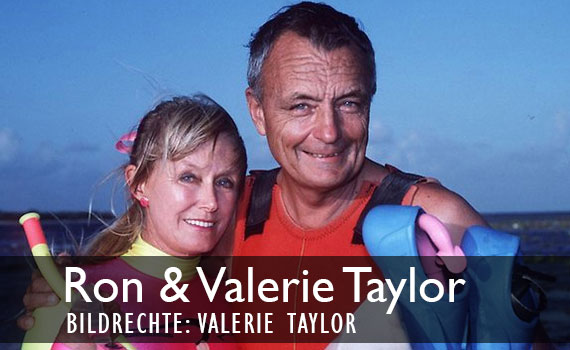 Tauchlegende Ron Taylor tot