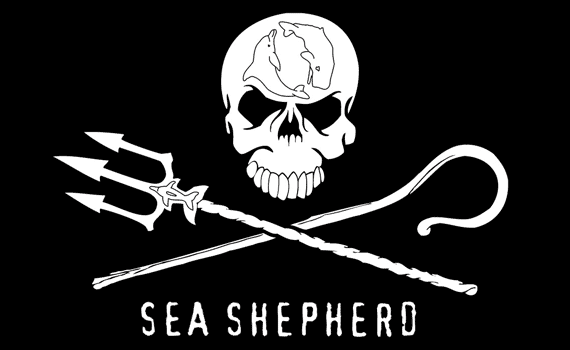 Sea Shepherds im Interview