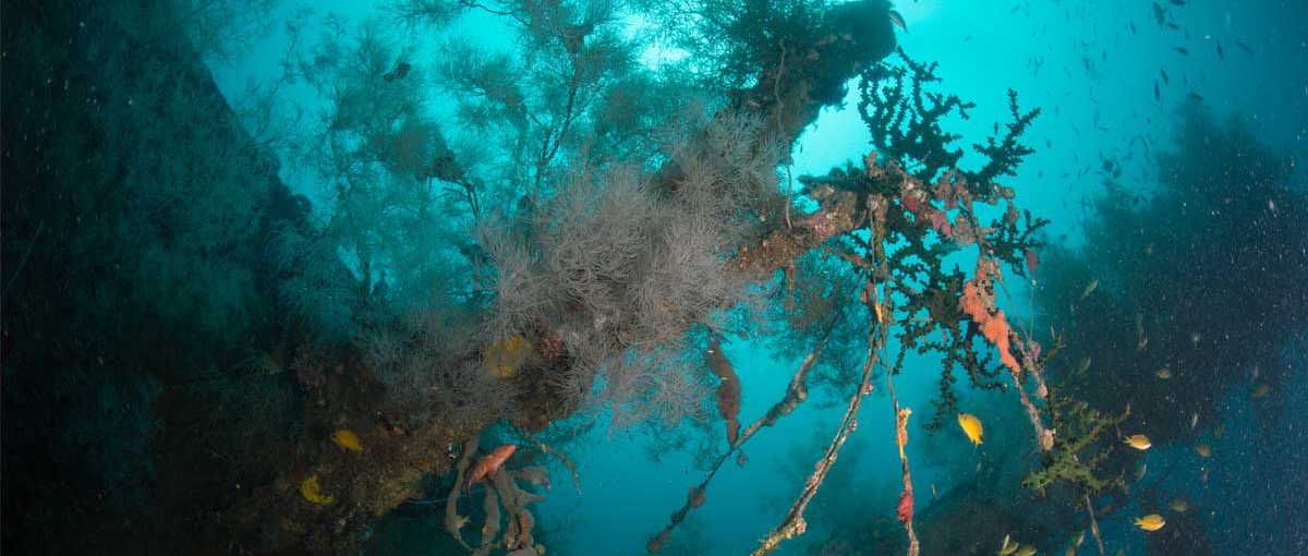 Das Wrack der Gili Raja