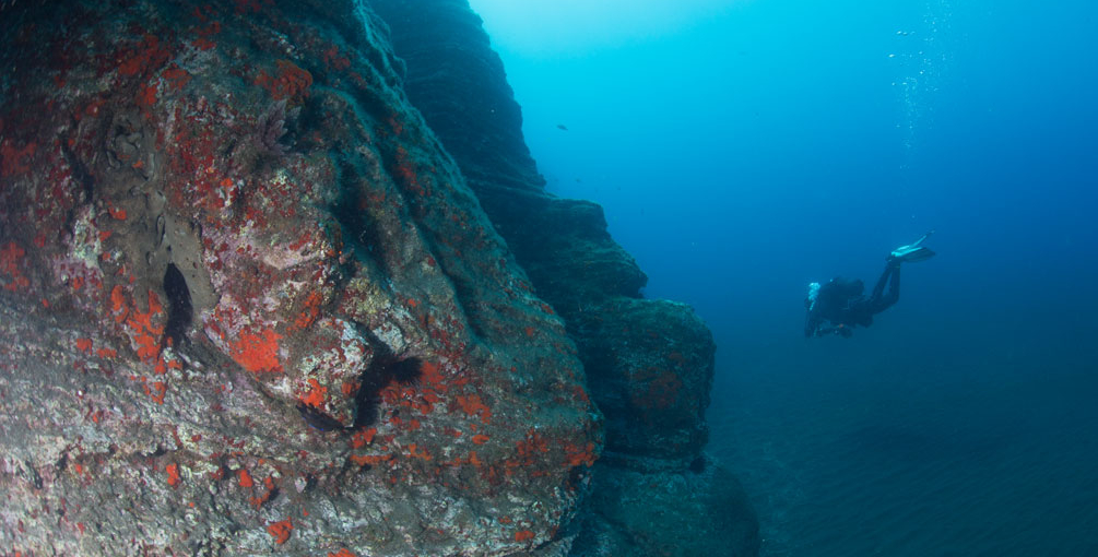 Madeira - Garajau Wall