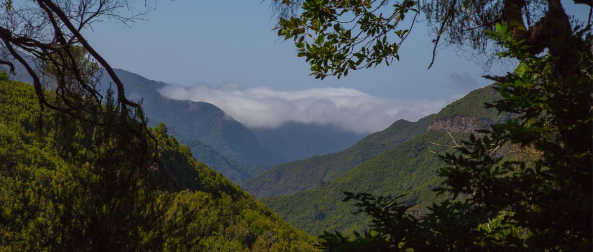 Reise-Special: Madeira