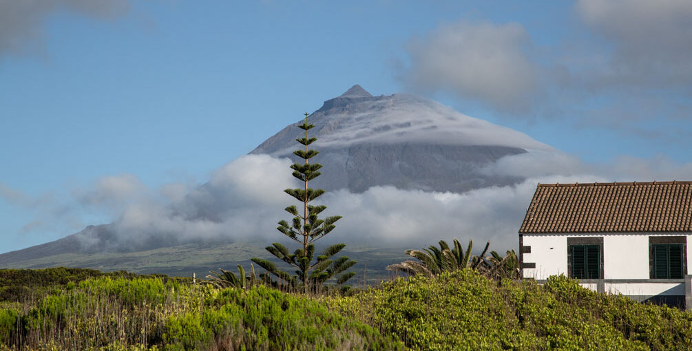 Die Azoren - Pico