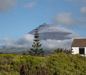 Die Azoren - Pico