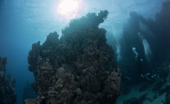 Abu Hamra: Bekannt sind die imposanten Korallenblöcke
