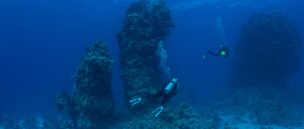 Shaab Marsa Alam